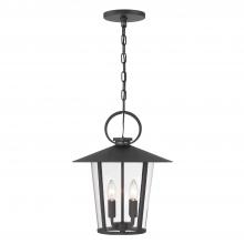 Crystorama AND-9204-CL-MK - Andover 14'' Matte Black Outdoor Pendant