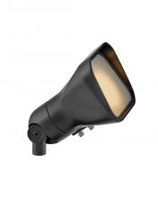 Hinkley Merchant 55300SK - 120v GU10